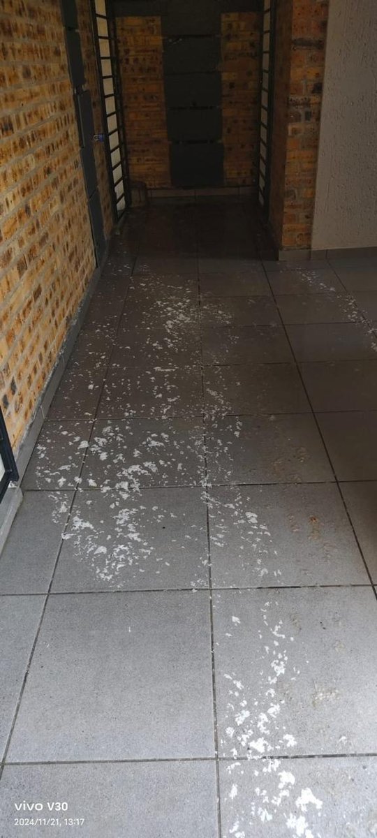 Electronic Leak Detector